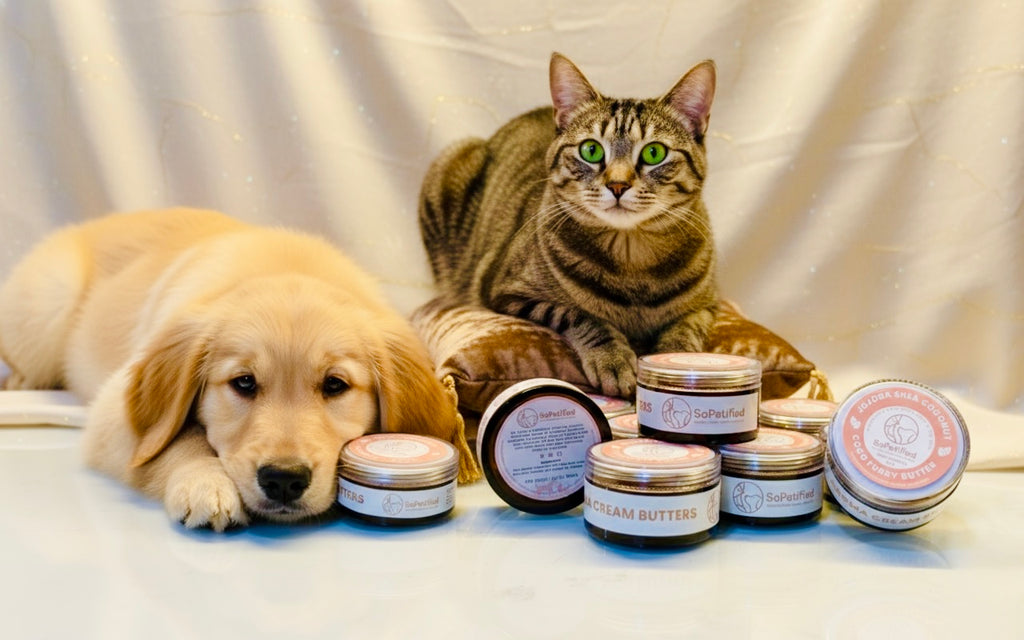 Coco Furry Butter : Jojoba Shea Coconut