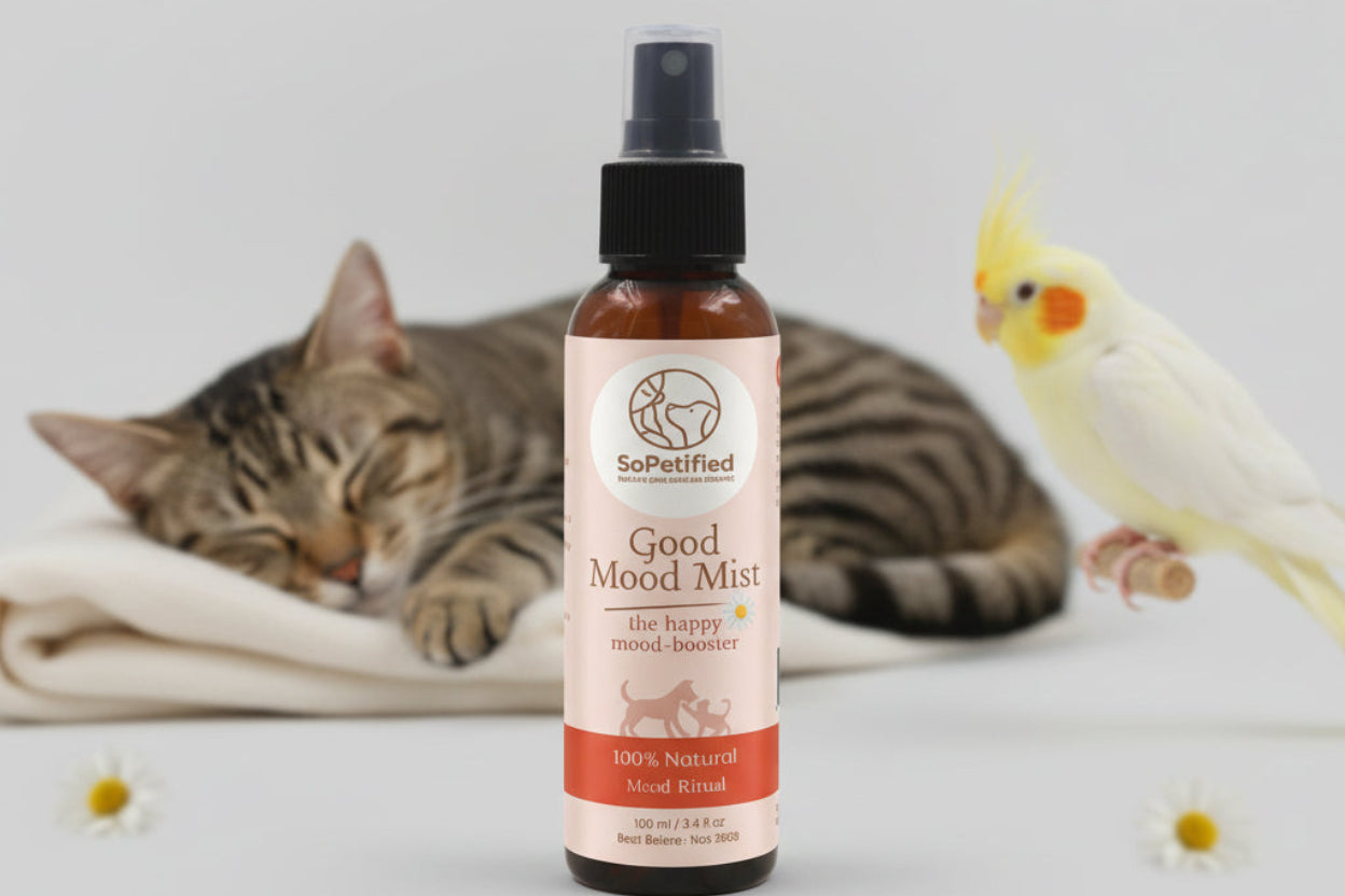 Good Mood Mist : The Happy Mood Booster